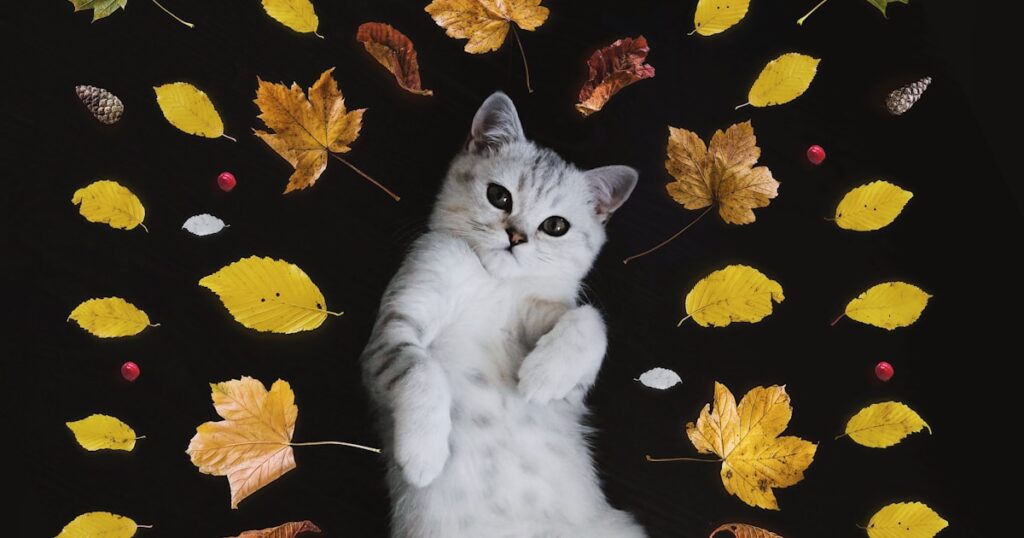 Tours y excursiones guiadas en Punta Cana