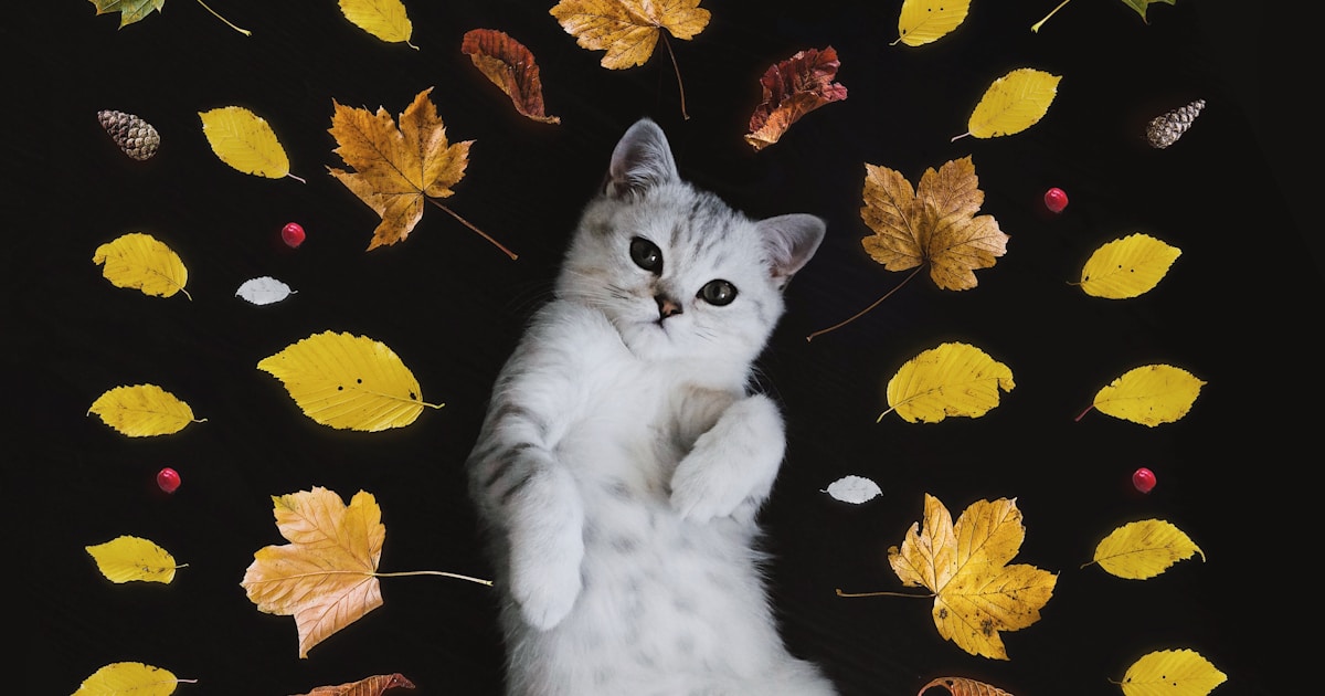 Excursiones guiadas: aventuras y rutas por la naturaleza