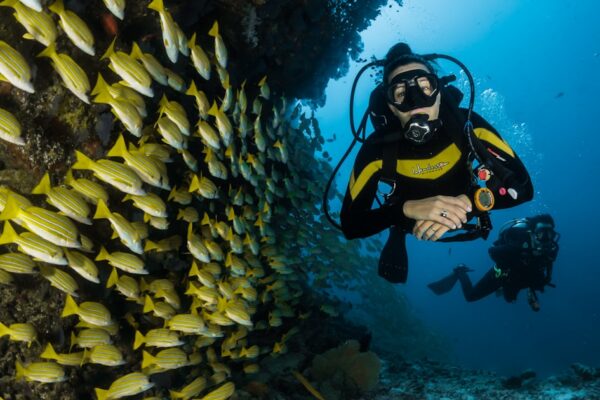 Excursión en barco por las aguas turquesas de Punta Cana